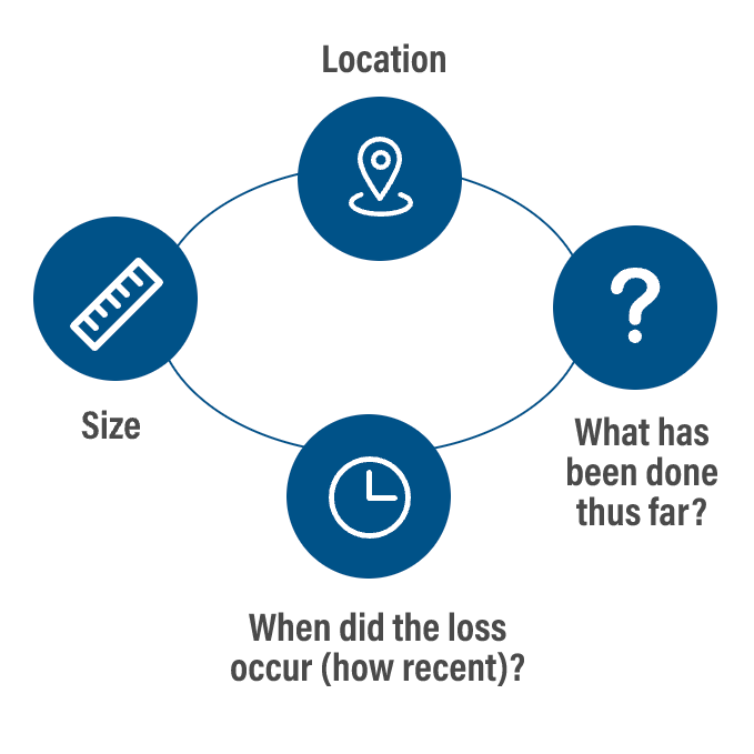 Graphic Showing Claims Cycle