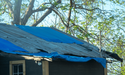 Blue Tarp on House