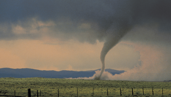 What To Do After a Tornado Hits Your House Jansen Adjusters