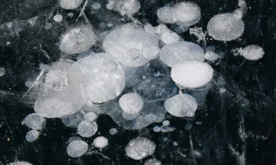 Hail Damage