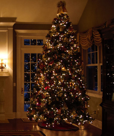 Christmas Tree in a Residence